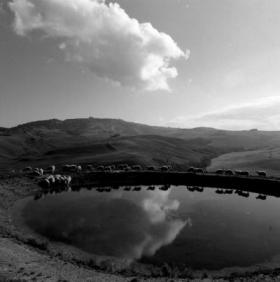 copyright Fausto Donnini