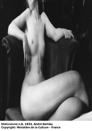 André Kertész, Distorsione n. 6