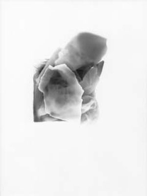 copyright: Pietro D'Agostino