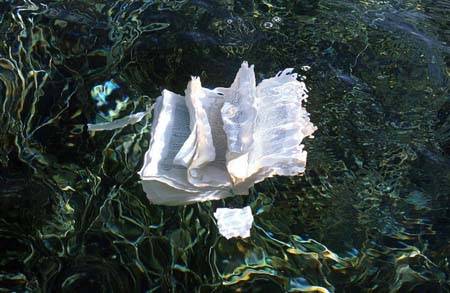 BUSI-SEMINARIO SULLA GIOVENTU'small Copyright: Ileana Florescu. "Busi, Seminario sulla gioventù", da "L'umana sintesi"