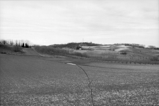 © Mario Tinelli - osservazioni naturali