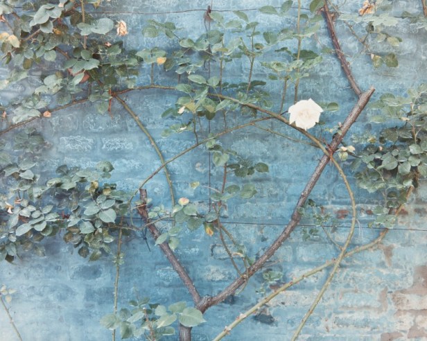 Luigi Ghirri, San Pietro In Vincoli, Villa Jole, 1990. Da: Paesaggio italiano (1980-1992); da: Paesaggio italiano (1980-1992) Courtesy Fototeca Biblioteca Panizzi, Reggio Emilia ©Eredi Ghirri 